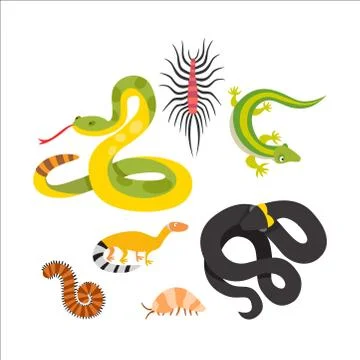 Vector flat snakes and other danger animals Stock Illustration