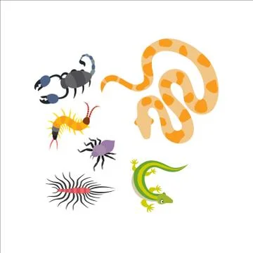 Vector flat snakes and other danger animals Illustrazione stock