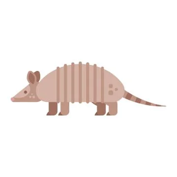 Vector flat style illustration of armadillo. Stock Illustration