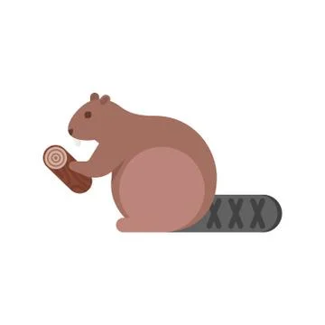 Vector flat style illustration of beaver. Stock Illustration