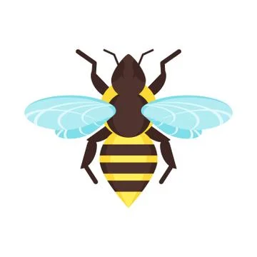Vector flat style illustration of bee. Stock Illustration