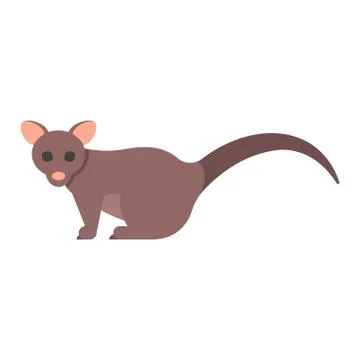 Vector flat style illustration of brushtail possum. Stock Illustration