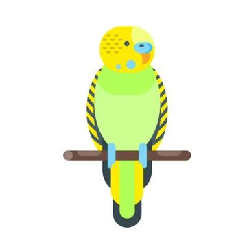 Vector flat style illustration of budgerigar. Stock Illustration