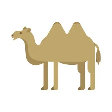 Vector flat style illustration of camel Stock Illustration