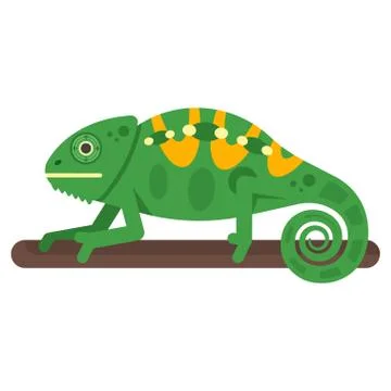 Vector flat style illustration of chameleon. Stock Illustration