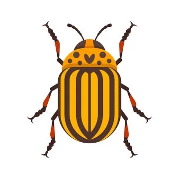 Vector flat style illustration of Colorado beetle. Stock Illustration