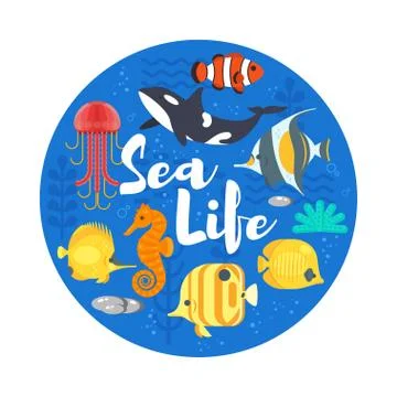 Vector flat style illustration of coralreef, fish and sea life. Stock Illustration