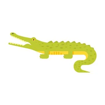 Vector flat style illustration of crocodile. Stock Illustration