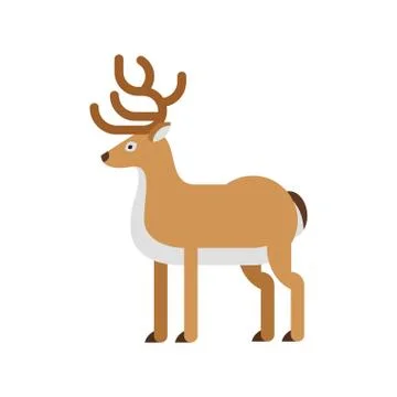 Vector flat style illustration of deer Illustrazione stock