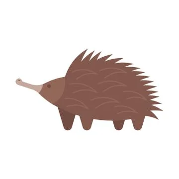 Vector flat style illustration of echidna. Stock Illustration