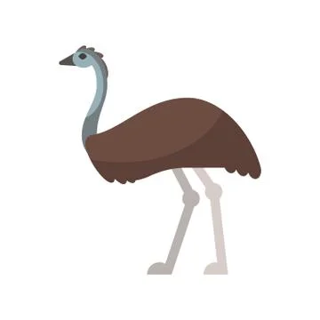Vector flat style illustration of emu. Stock Illustration