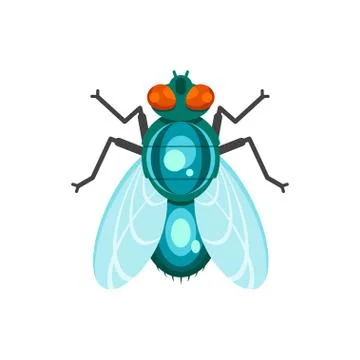 Vector flat style illustration of fly. Stock Illustration