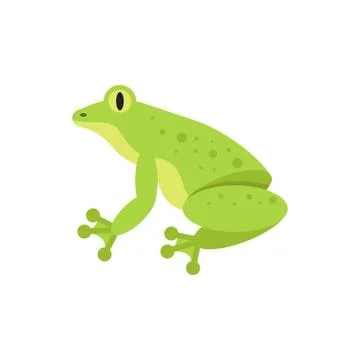 Vector flat style illustration of frog. Stock Illustration