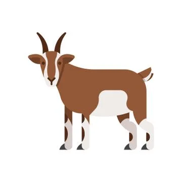 Vector flat style illustration of goat. Illustrazione stock