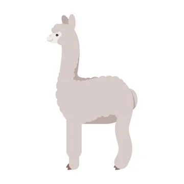 Vector flat style illustration of lama. Stock Illustration