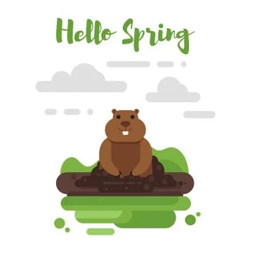 Vector flat style illustration of marmot. Icon for web. Stock Illustration