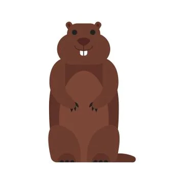 Vector flat style illustration of marmot. Stock Illustration