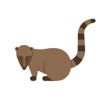 Vector flat style illustration of nasua. Stock Illustration
