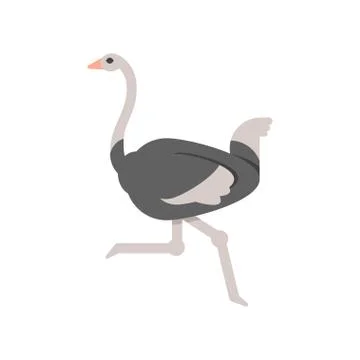 Vector flat style illustration of ostrich. Stock Illustration
