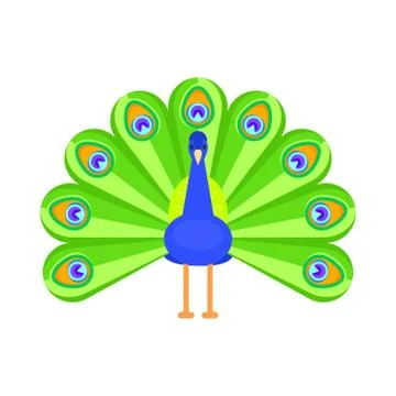 Vector flat style illustration of peacock. Stock Illustration