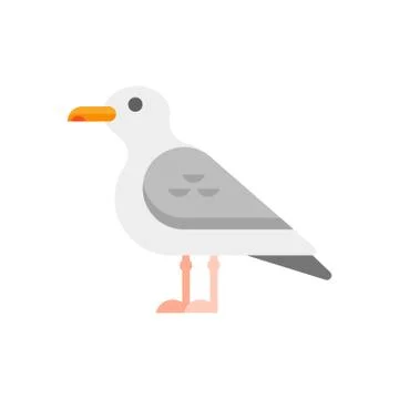 Vector flat style illustration of seagull. Stock Illustration