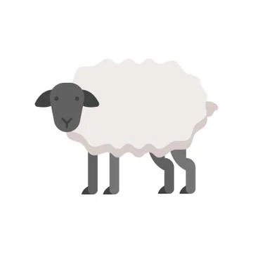 Vector flat style illustration of sheep. Stock Illustration