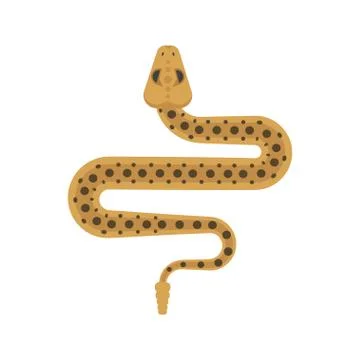 Vector flat style illustration of sidewinder snake Stock Illustration