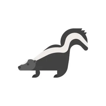 Vector flat style illustration of skunk. Stock Illustration