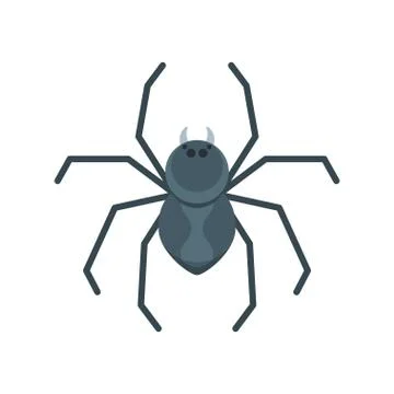 Vector flat style illustration of spider. Stock Illustration