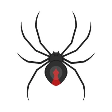 Vector flat style illustration of spider. Stock Illustration