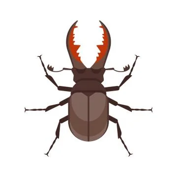 Vector flat style illustration of stag beetle. Illustrazione stock