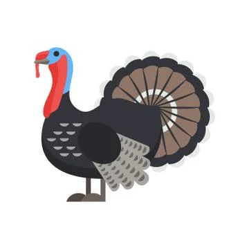 Vector flat style illustration of turkey. Stock Illustration