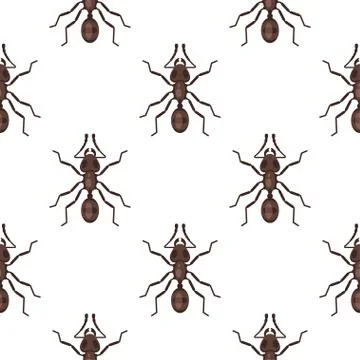 Vector flat style seamless pattern with ants. Stock Illustration