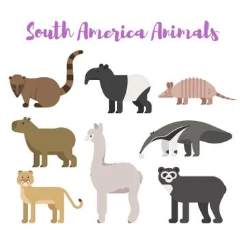 Vector flat style set animals of South America. Stock Illustration