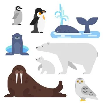 Vector flat style set of arctic animal. Stock Illustration