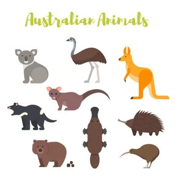Vector flat style set of Australian animals. Stock Illustration