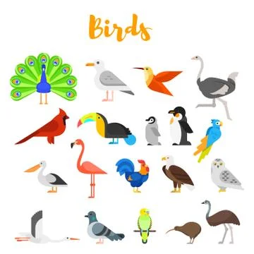 Vector flat style set of birds. Stock Illustration