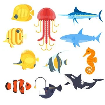 Vector flat style set of exotic fish. Icon for web. Stock Illustration