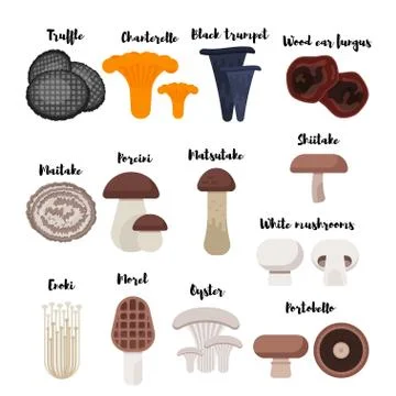 Vector flat style set of mushrooms. Stock Illustration