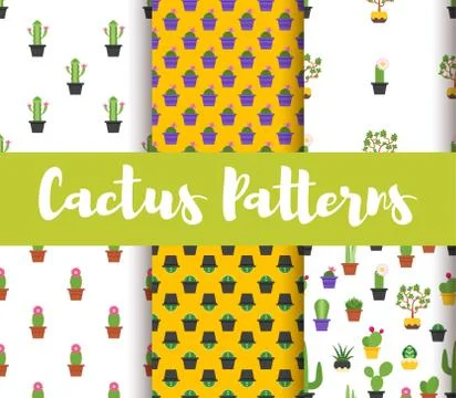 Vector flat style set of patterns with colorful cactus. Stock Illustration