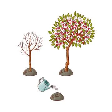 Vector flat tree planting stages symbols set Stock Illustration