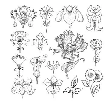 Vector Flax floral botanical flowers. Black and white engraved ink art. Isola Stock Illustration