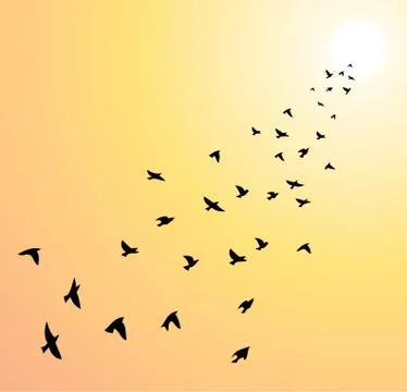 Vector flock of flying birds towards bright sun Stock Illustration