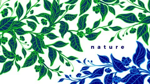 Vector floral background. Art line green herb tea Stock Illustration
