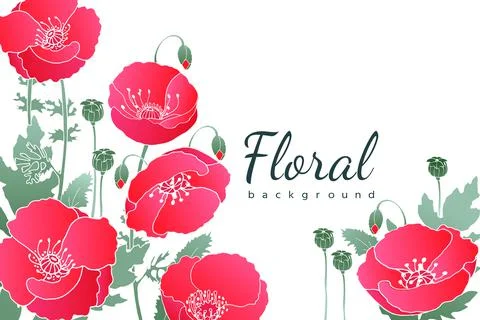 Vector floral background. Card with red poppies. Stock Illustration