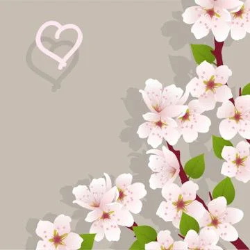 Vector floral background with cherry flowers Stock Illustration
