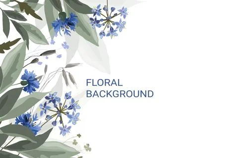Vector floral background with cornflowers Stock Illustration