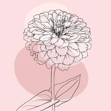 Vector floral background with hand drawn peoni. Stock Illustration