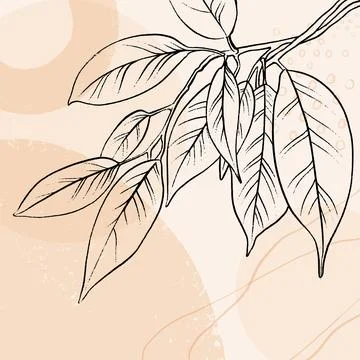 Vector floral background with hand drawn leaves. 库存插图