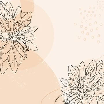 Vector floral background with hand drawn two asters. Stock Illustration